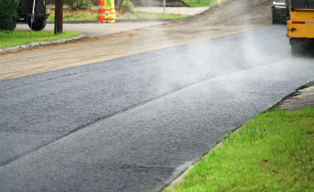 Best Residential Paver Driveway  in Knoxvle, IL