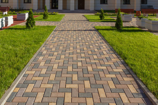 Best Driveway Paving Contractor  in Knoxvle, IL